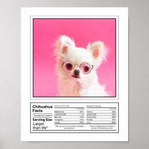 Poster Photo personnalisée Chien race Faits Chihuahua