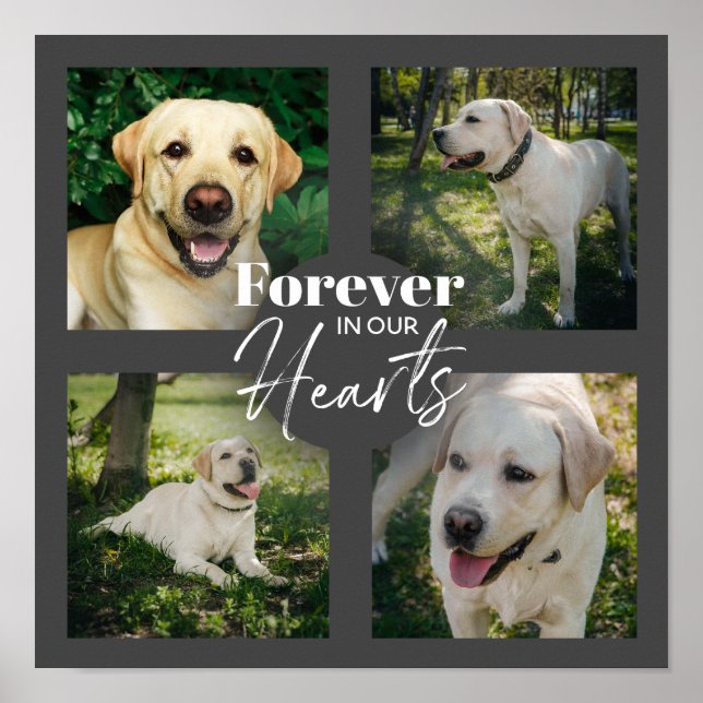 Poster Photo personnalisée Collage Pet Memorial (Devant)