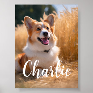 Poster Photo personnalisée pour animaux