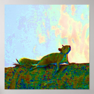 Poster photo psychadélique d'écureuil