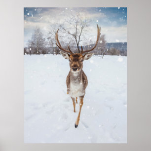 Poster Photo Reindeer