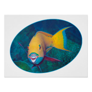 Poster Photo sous-marine de poisson perroquet - Design ph