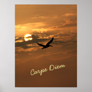 Poster Photo Sunrise Gold Carpe Diem Ocean