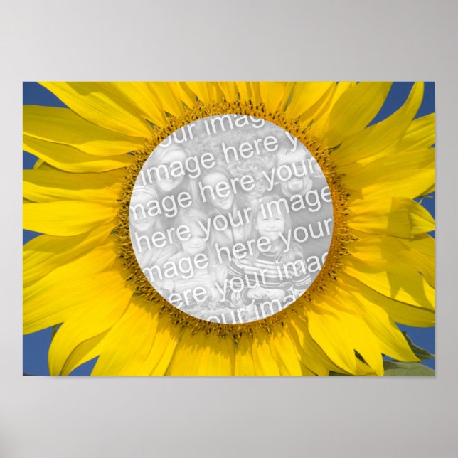 Poster Photo tournesol (Devant)