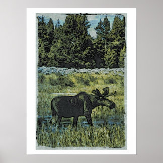 Poster Photo vintage de Moose
