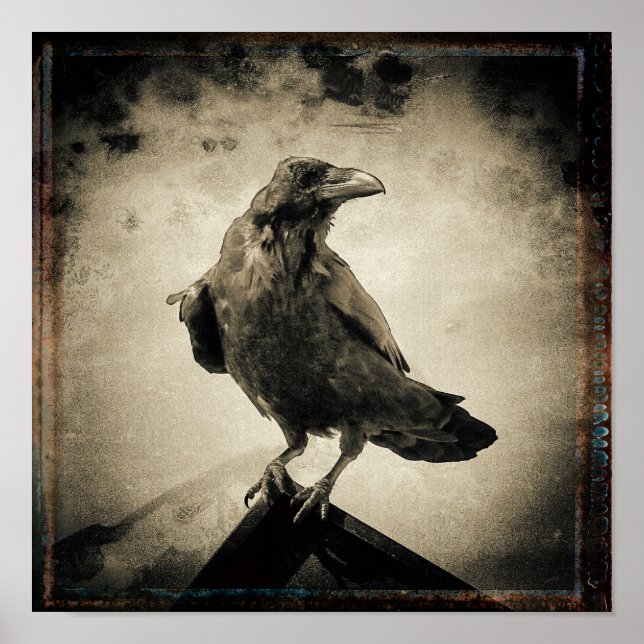 Poster Photo vintage Raven (Devant)