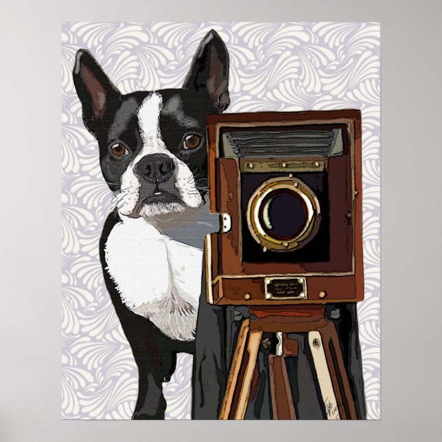 Poster Photographe Boston Terrier (Devant)