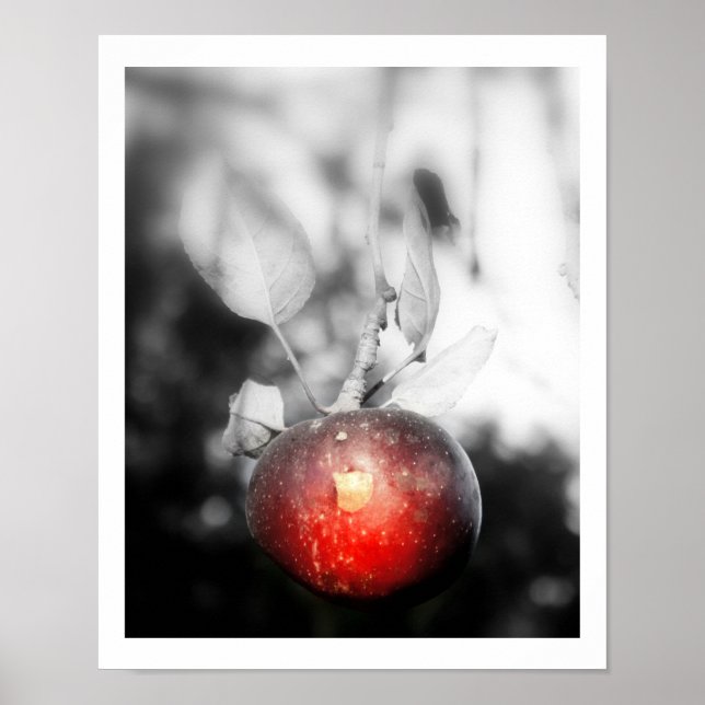Poster Photographie Apple "Tentation" Imprimer (Devant)