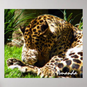 Poster Photographie artistique d'animaux de léopard migno