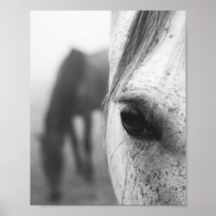 Poster Photographie contemporaine de l'oeil de cheval