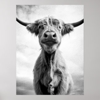 Poster Photographie d'art de style Saint-Vache Mesotint