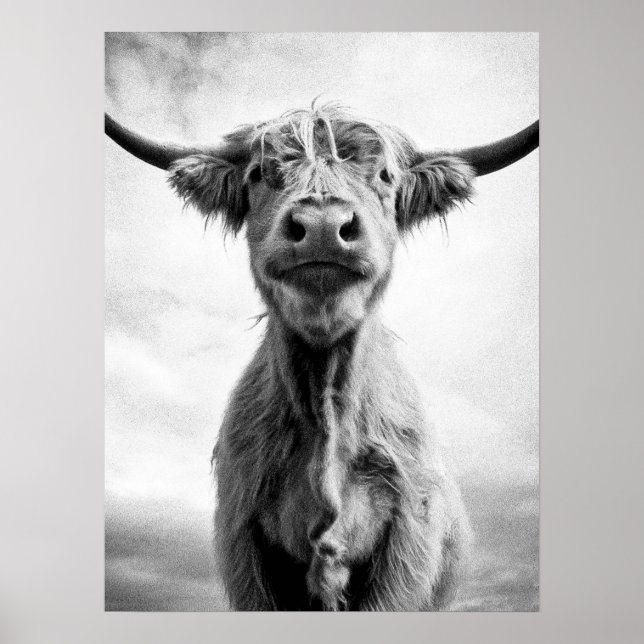 Poster Photographie d'art de style Saint-Vache Mesotint (Devant)