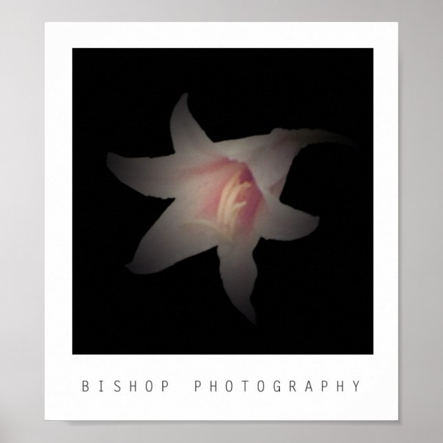 Poster Photographie de Bishop (Devant)