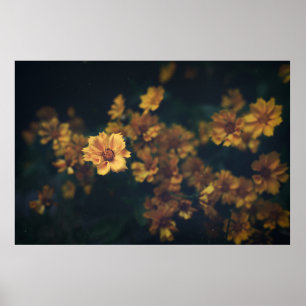 POSTER PHOTOGRAPHIE DE BOKEH DES FLEURS JAUNES