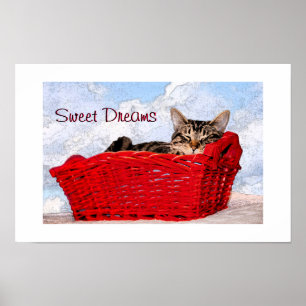 Poster Photographie de chaton tabby mignon dormant dans u