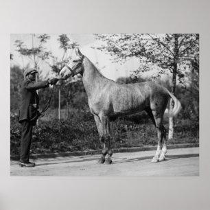 Poster Photographie de cheval vintage
