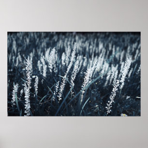 POSTER PHOTOGRAPHIE DE CLOSEUP DE PLANTE VERT