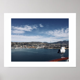 Poster Photographie de couleur d'oiseau