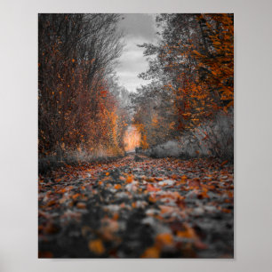 Poster Photographie de Fall Trees