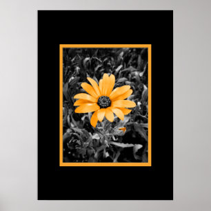 Poster Photographie de gerbera africain Color Splash Spri