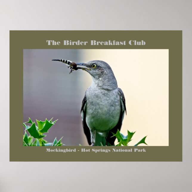 Poster Photographie de la nature Oiseau de mer (Devant)