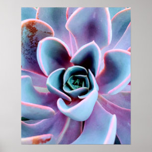 Poster Photographie de la nature Plante