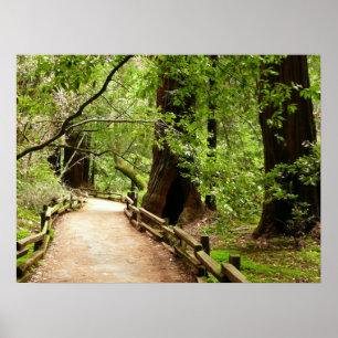 Poster Photographie de la nature sur le sentier de Muir W