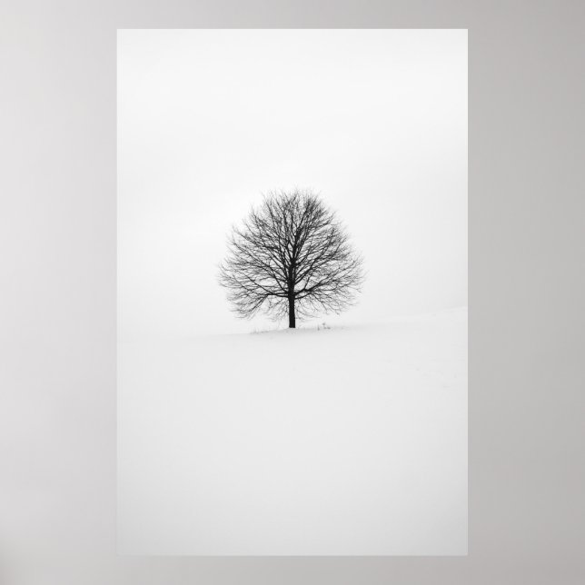 POSTER PHOTOGRAPHIE DE L'ARBRE (Devant)