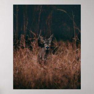 POSTER PHOTOGRAPHIE DE VIE SAUVAGE DE GRAY DEER ENTOURÉ P