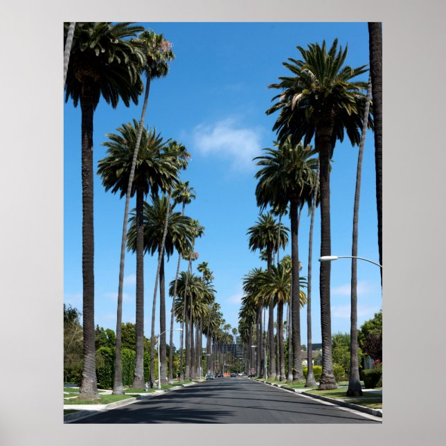 Poster Photographie des palmiers de Californie (Devant)