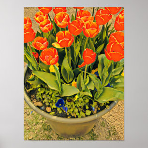 Poster Photographie du festival de fleurs oranges des tul