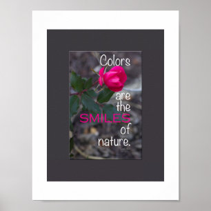 Poster Photographie d'une rose rose se courbant seule