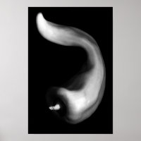 Photographie en noir et blanc de poivre courbe de