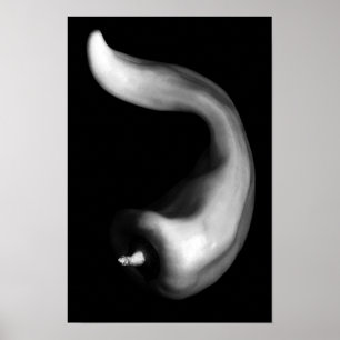 Poster Photographie en noir et blanc de poivre courbe de