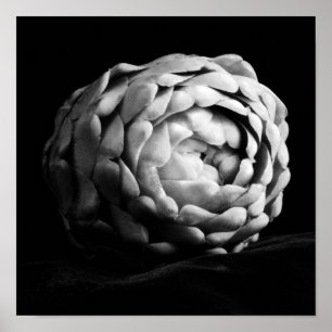 Poster Photographie en noir et blanc d'un gros plan d'art
