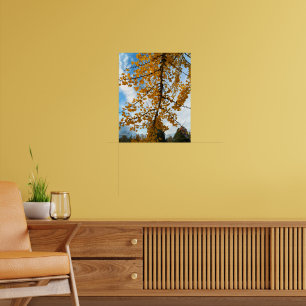 Poster Photographie Feuille de Ginkgo jaune