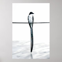 Photographie minimaliste d'oiseau sur fil