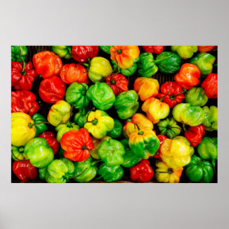 Poster Photographie moderne colorée