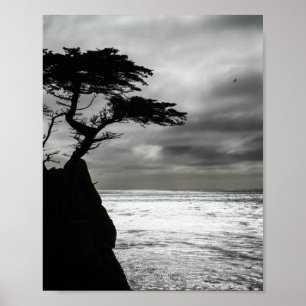 Poster Photographie nature noir et blanc