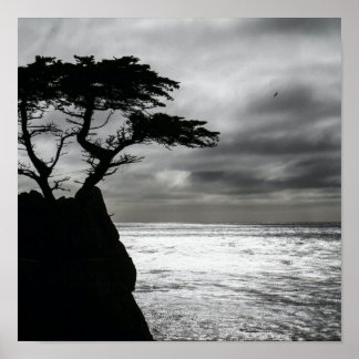 Poster Photographie nature noir et blanc