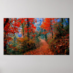 Poster Photographie peinte Forêt Automne Chemin de la fla
