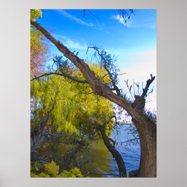 Poster Photographie pour VENTE - Imprimantes d'arbre broc (Devant)