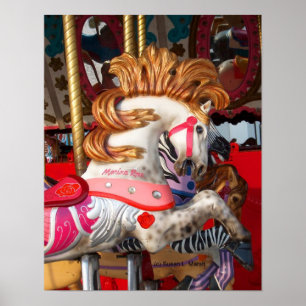 Poster Photographie rose et blanche de cheval de
