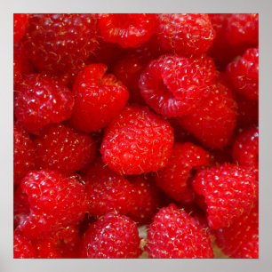 Poster Photographie rose foncée mignonne délicieuse de