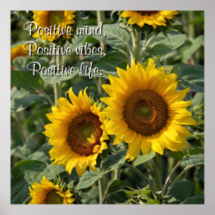 Poster Photographie tournesol dans la nature Personnalisé