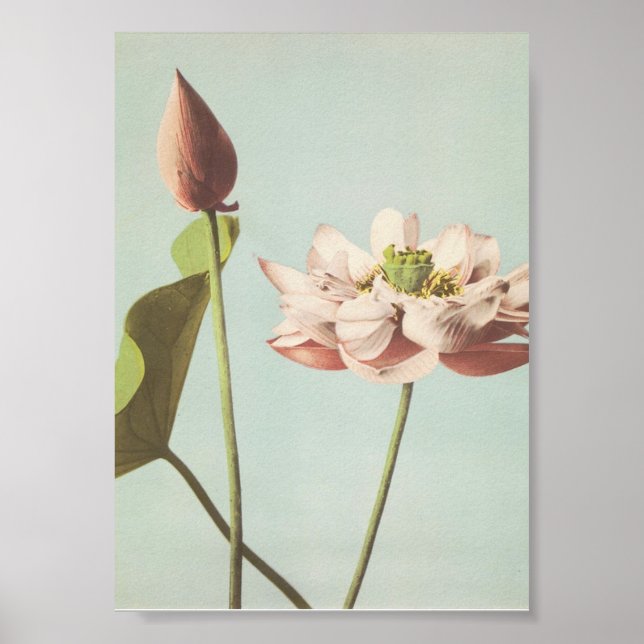 Poster Photographie vintage (Devant)