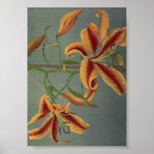 Poster Photographie vintage