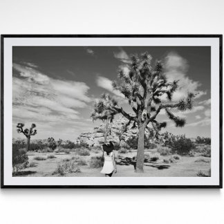 Poster photographique du parc national Joshua Tree