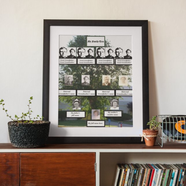 Poster Photos d'arbre de famille de l'orme d'été de quatr (Créateur téléchargé)