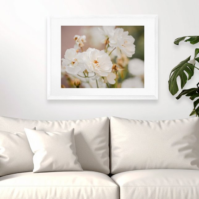 Poster Photos de la nature végétale des Roses blanches (Please note: This image is a digital mockup. The product may not be in scale.)